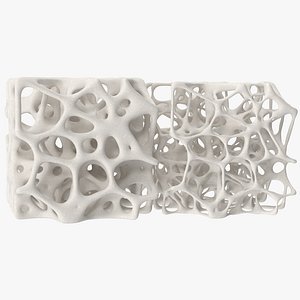 Square Bone Structure