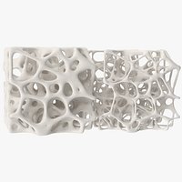 Square Bone Structure