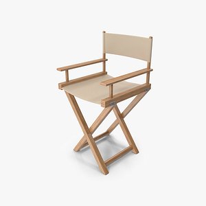 3D Director Chair