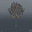 Willow Tree_004