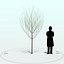 Willow Tree_004