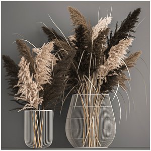 3D model Decorative Bouquet of dried pampas grass 1071