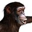 3ds max rigged chimpanzee hair modifier