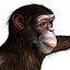 3ds max rigged chimpanzee hair modifier