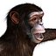 3ds max rigged chimpanzee hair modifier