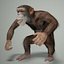 3ds max rigged chimpanzee hair modifier