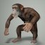 3ds max rigged chimpanzee hair modifier
