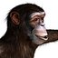 3ds max rigged chimpanzee hair modifier