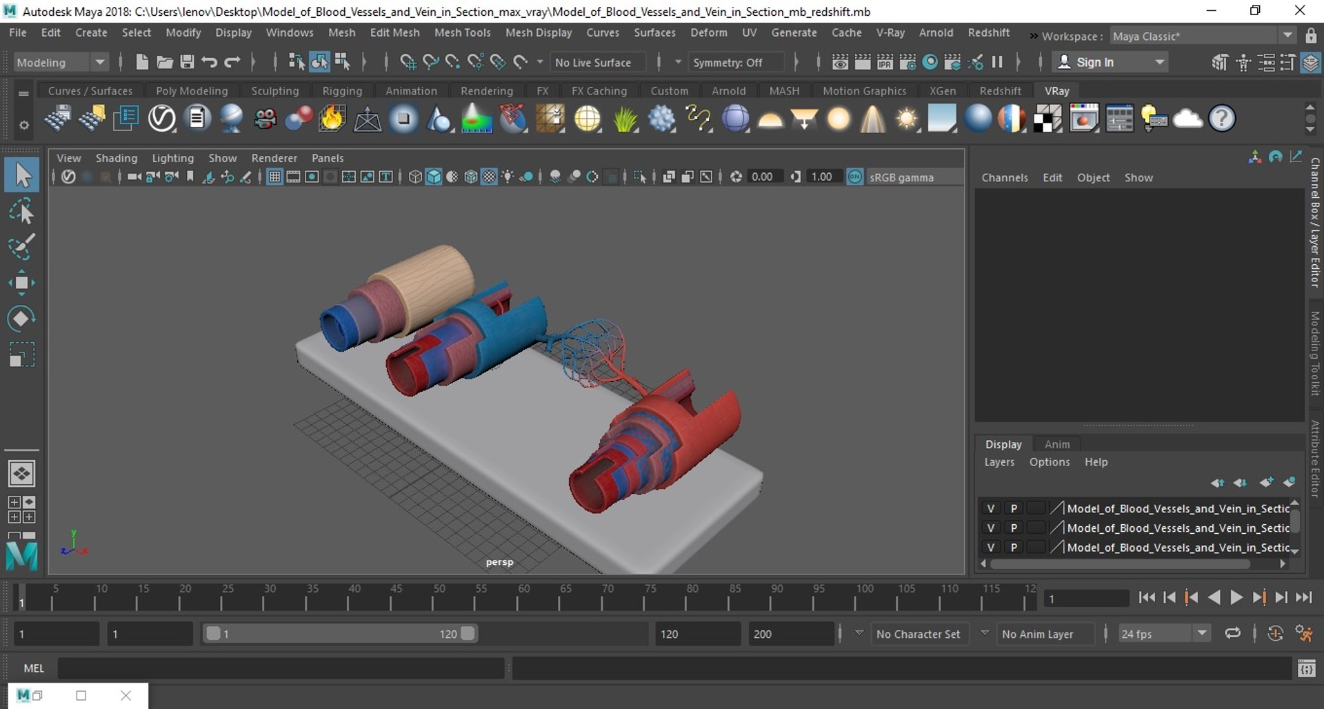 Model of Blood Vessels and Vein in Section 3D model https://p.turbosquid.com/ts-thumb/y8/GnBwaL/QS/model_of_blood_vessels_and_vein_in_section_1012/jpg/1744293317/1920x1080/fit_q87/d523cf4079ab390e968c20de7c1589ce56256c21/model_of_blood_vessels_and_vein_in_section_1012.jpg