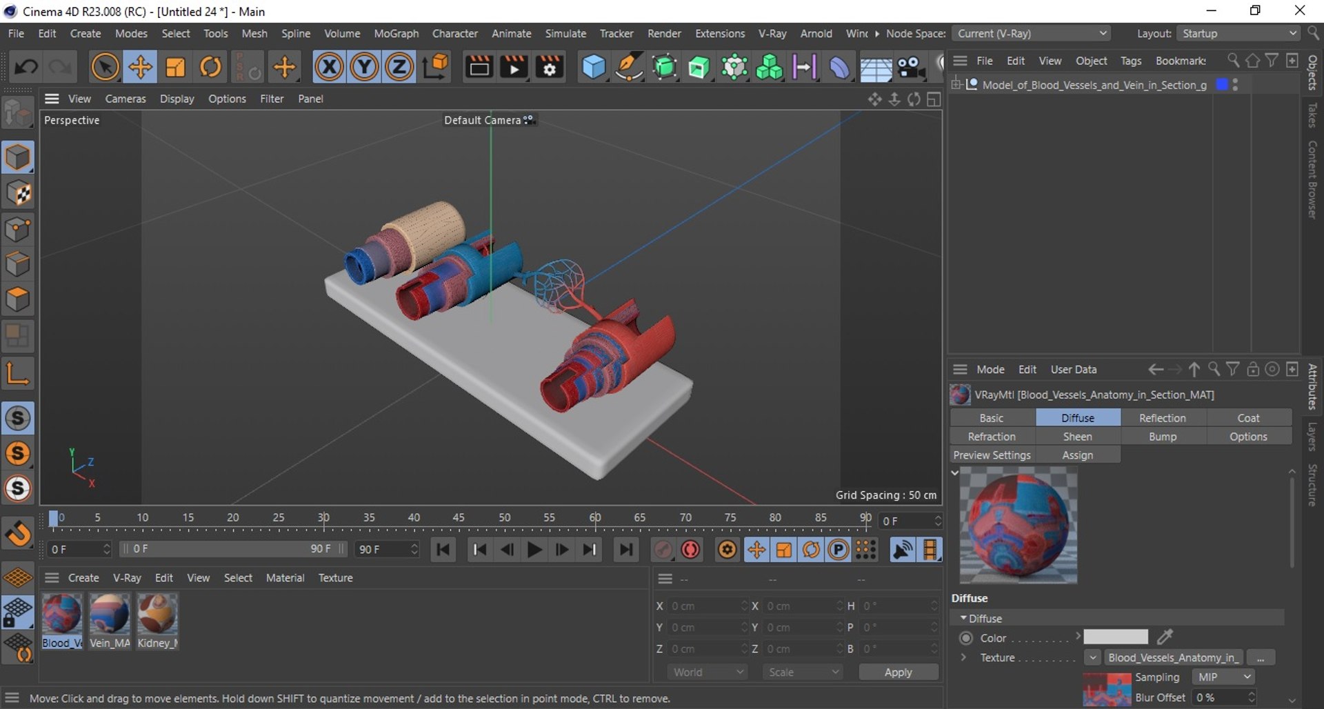 Model of Blood Vessels and Vein in Section 3D model https://p.turbosquid.com/ts-thumb/y8/GnBwaL/bO/model_of_blood_vessels_and_vein_in_section_1011/jpg/1744293313/1920x1080/fit_q87/5b35d1a36c2486daf510d431cc372ae171dc9717/model_of_blood_vessels_and_vein_in_section_1011.jpg