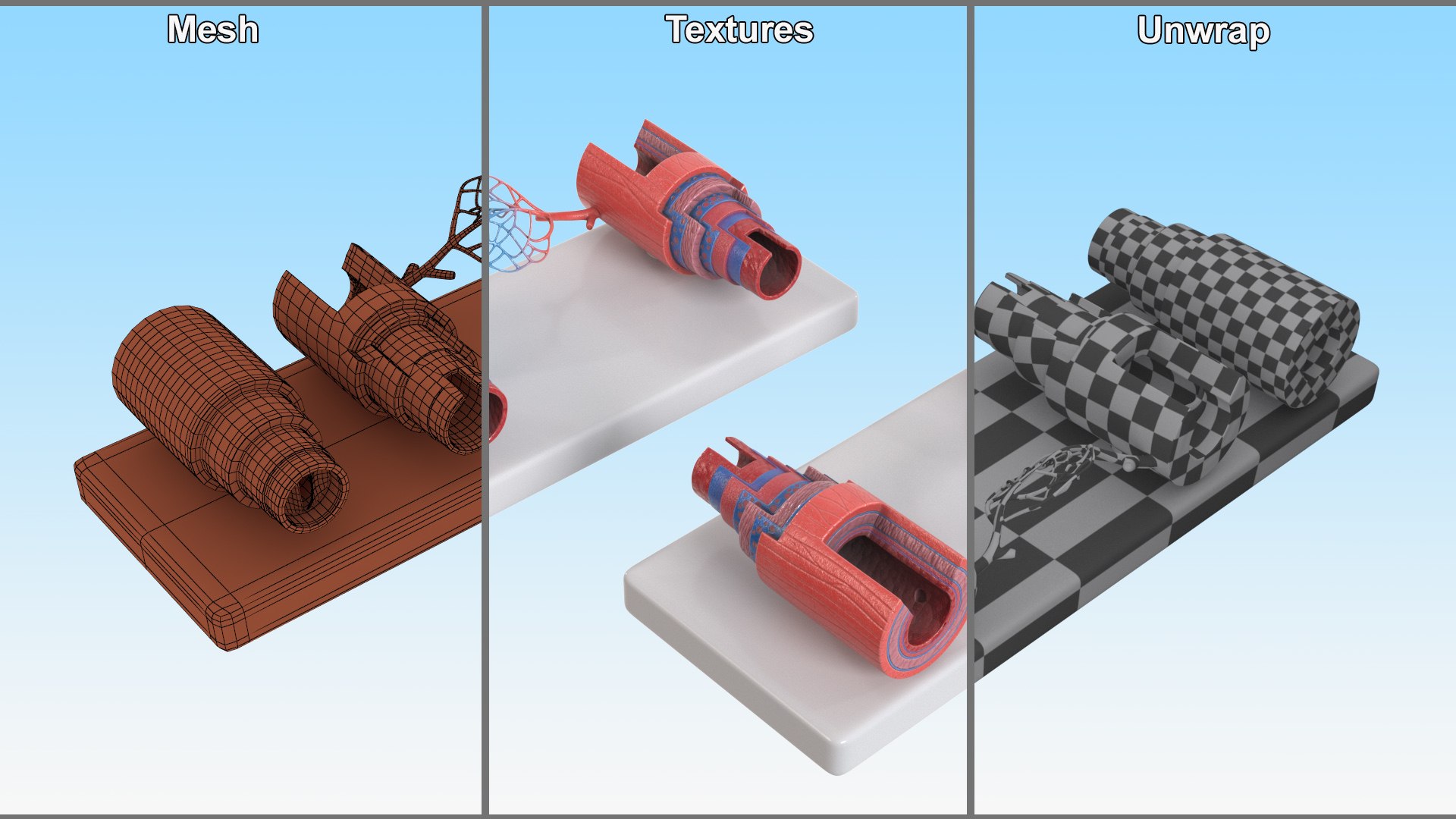 Model of Blood Vessels and Vein in Section 3D model https://p.turbosquid.com/ts-thumb/y8/GnBwaL/ot/model_of_blood_vessels_and_vein_in_section_009/jpg/1744293269/1920x1080/fit_q87/59dab206b09e1d8ec6d5ded75daf413edf67e981/model_of_blood_vessels_and_vein_in_section_009.jpg