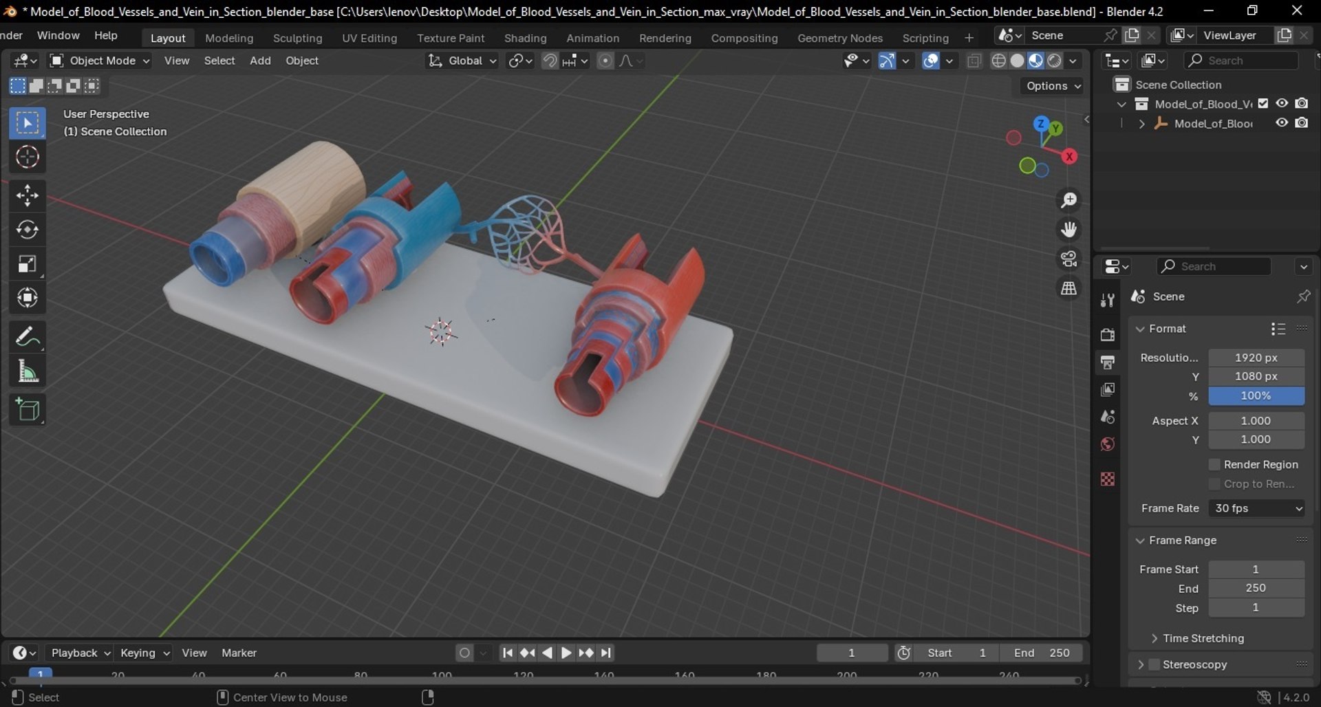 Model of Blood Vessels and Vein in Section 3D model https://p.turbosquid.com/ts-thumb/y8/GnBwaL/zx/model_of_blood_vessels_and_vein_in_section_1010/jpg/1744293310/1920x1080/fit_q87/7619520984bd71080861103318e434649d787aa0/model_of_blood_vessels_and_vein_in_section_1010.jpg