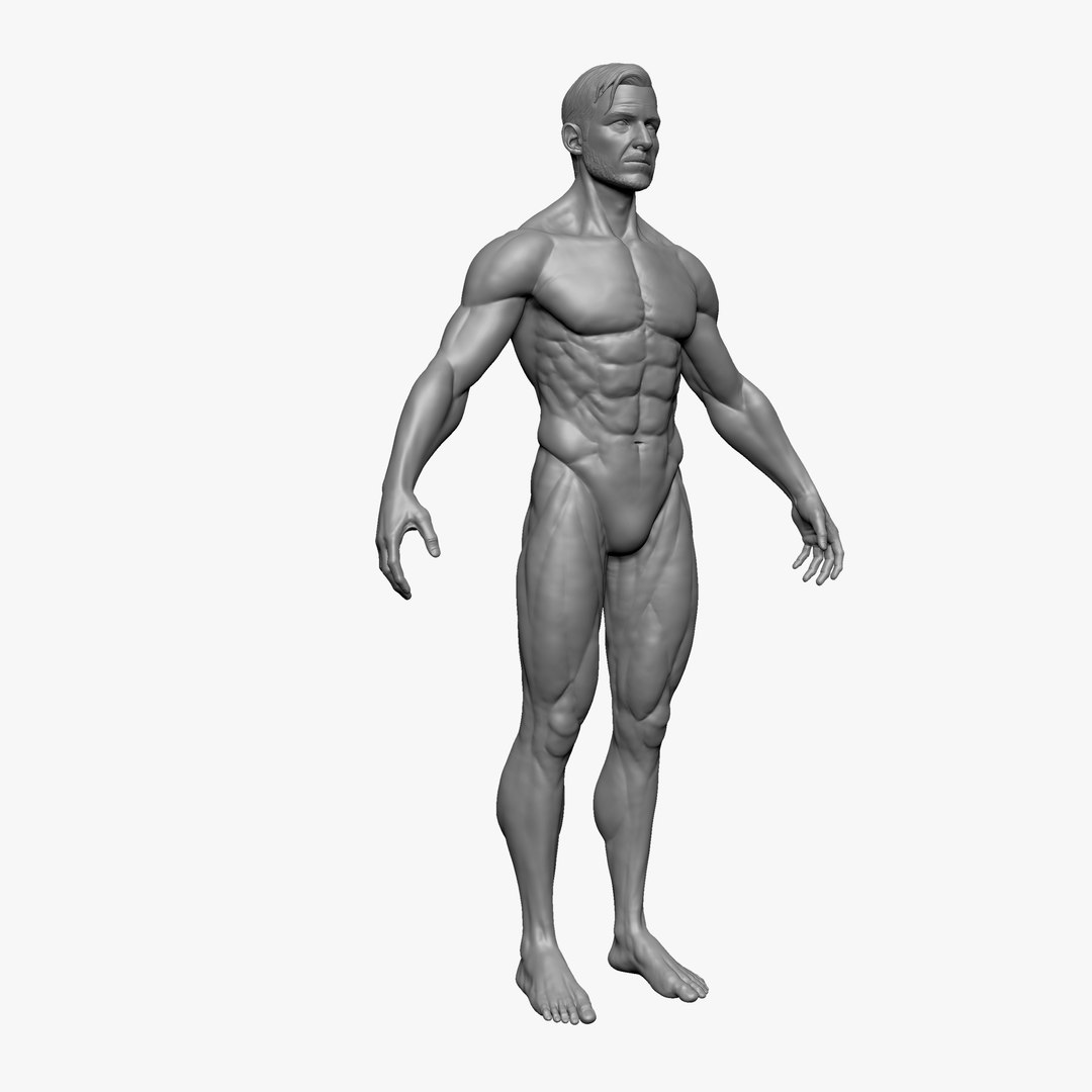 3D model Body Human - TurboSquid 2063381