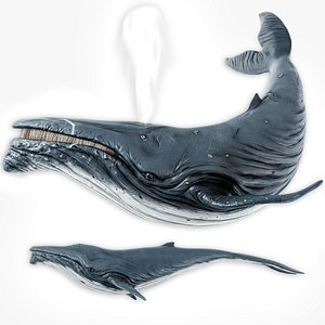 3D model Whale and Whale Calf - Underwater Creature Animated Monster - 23