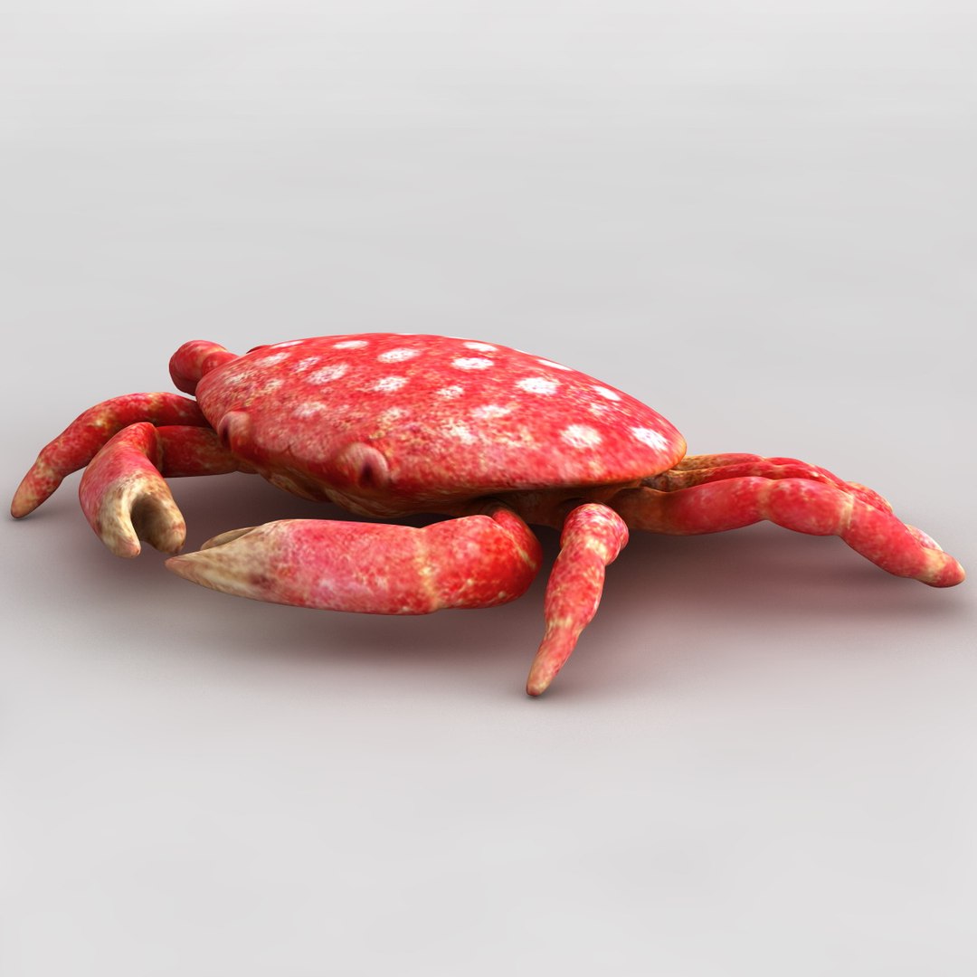 3dsmax strawberry crab https://p.turbosquid.com/ts-thumb/y8/QfKNZW/25WqHjF5/117950_strawberry_crab_011/jpg/1361542193/1920x1080/fit_q87/f15349e440e5f39cbded5446e8ff12638e02dd84/117950_strawberry_crab_011.jpg