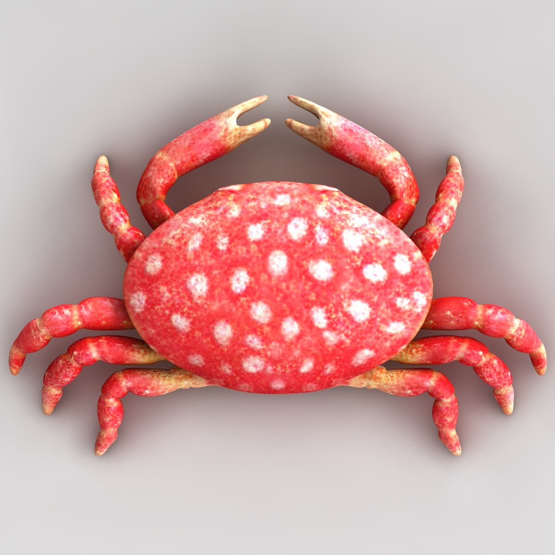 3dsmax strawberry crab https://p.turbosquid.com/ts-thumb/y8/QfKNZW/6QnEfhv6/117951_strawberry_crab_012/jpg/1361542196/1920x1080/fit_q87/0e4445a9416a971d77f37d0a480d6faa86c62bb3/117951_strawberry_crab_012.jpg