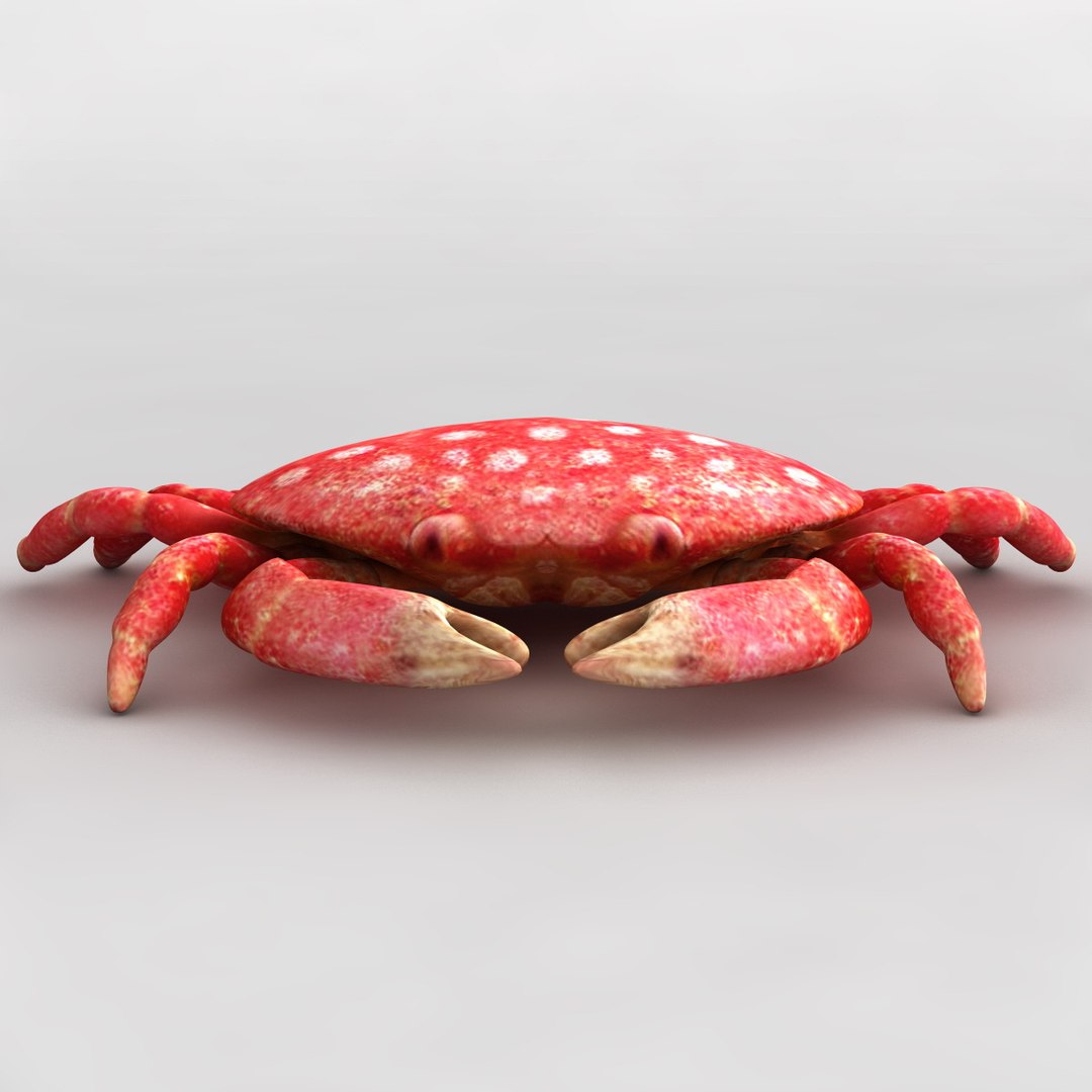 3dsmax strawberry crab https://p.turbosquid.com/ts-thumb/y8/QfKNZW/JItBYS1W/117943_strawberry_crab_004/jpg/1361542176/1920x1080/fit_q87/3913371af431c77910255c4a0f4ed93a469be708/117943_strawberry_crab_004.jpg