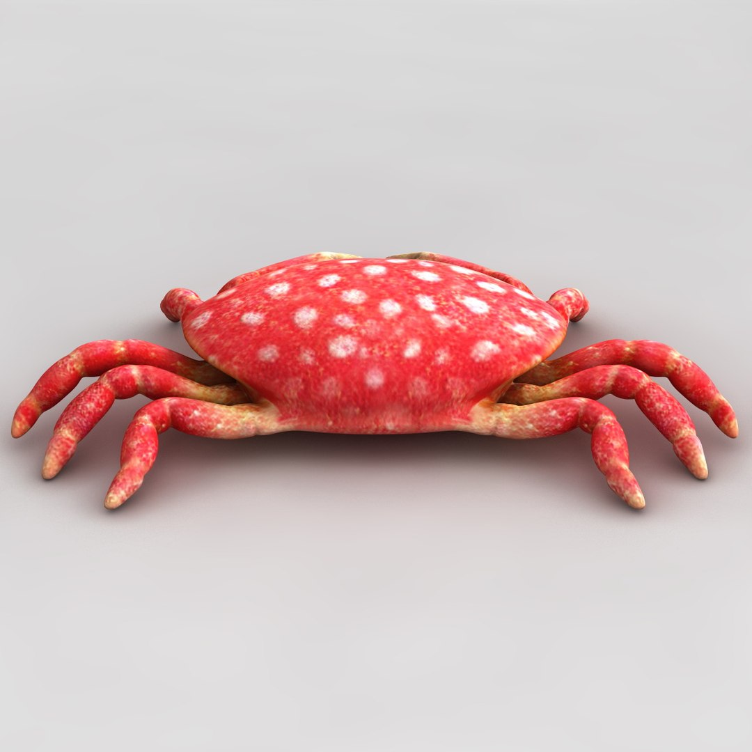 3dsmax strawberry crab https://p.turbosquid.com/ts-thumb/y8/QfKNZW/MIJGTIY2/117947_strawberry_crab_008/jpg/1361542187/1920x1080/fit_q87/3d99986a69a59c222e7df3d3b1056e0848761fe4/117947_strawberry_crab_008.jpg