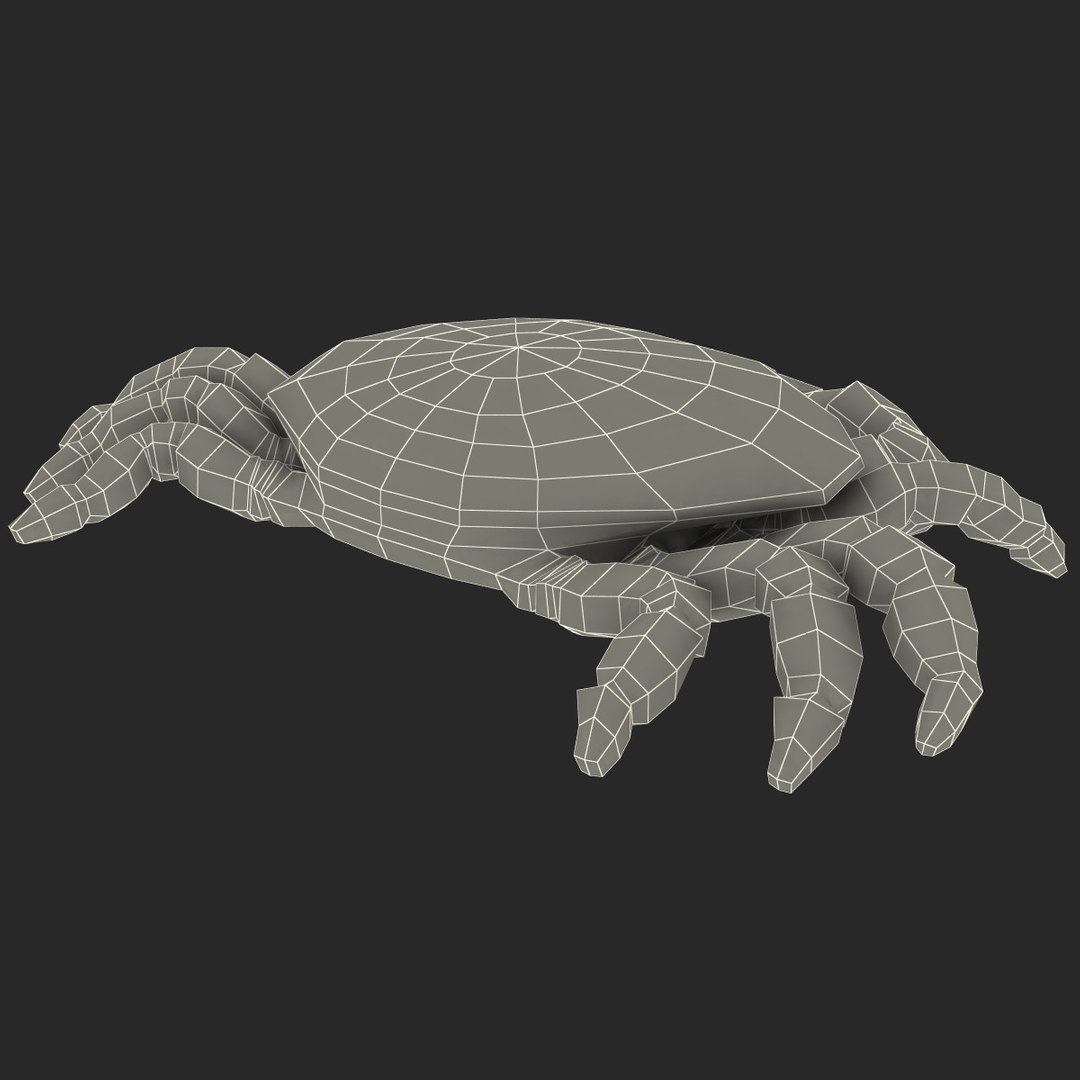 3dsmax strawberry crab https://p.turbosquid.com/ts-thumb/y8/QfKNZW/Mzdcx0W0/117958_strawberry_crab_019/jpg/1361542206/1920x1080/fit_q87/b41dc53881e7949223cee5f7dae94fa83bbf40b5/117958_strawberry_crab_019.jpg