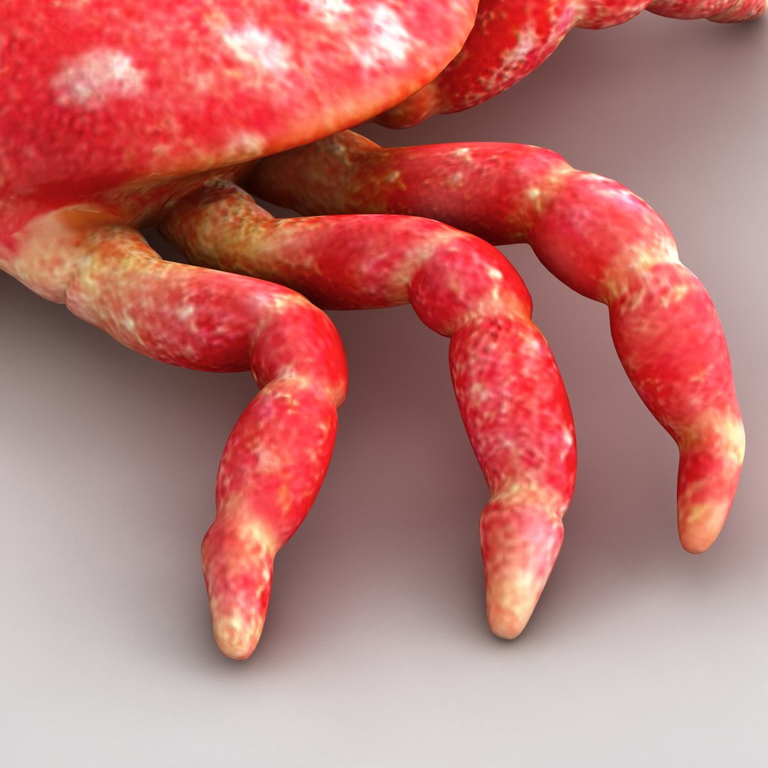 3dsmax strawberry crab https://p.turbosquid.com/ts-thumb/y8/QfKNZW/U6i3opVq/117954_strawberry_crab_015/jpg/1361542198/1920x1080/fit_q87/df01a15718312d2f9a0673061a7ecc54ba1bf2ba/117954_strawberry_crab_015.jpg