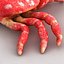 Strawberry Crab