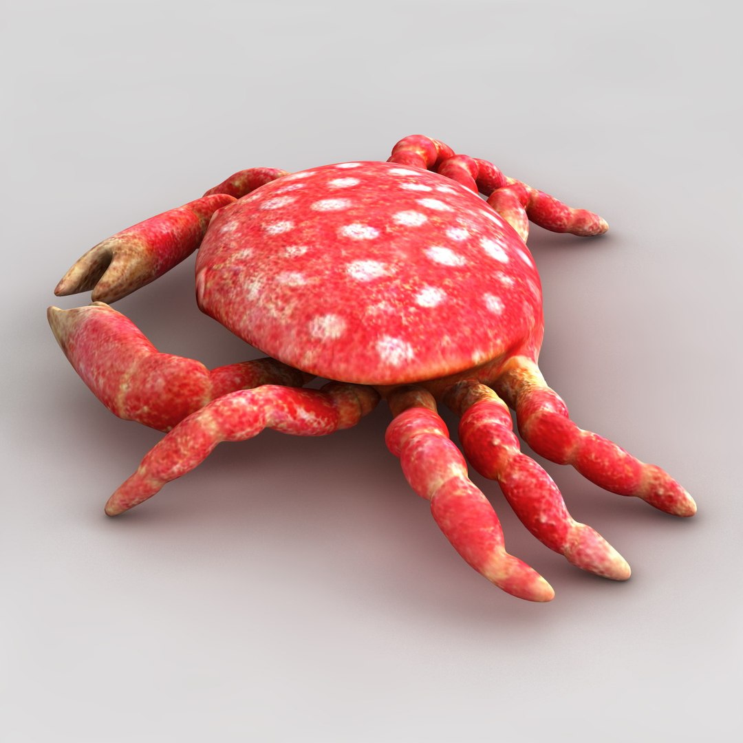 3dsmax strawberry crab https://p.turbosquid.com/ts-thumb/y8/QfKNZW/cVvrf6j7/117949_strawberry_crab_010/jpg/1361542187/1920x1080/fit_q87/0d0c5a2878cb444557e0f31ce952cb36a6d57725/117949_strawberry_crab_010.jpg