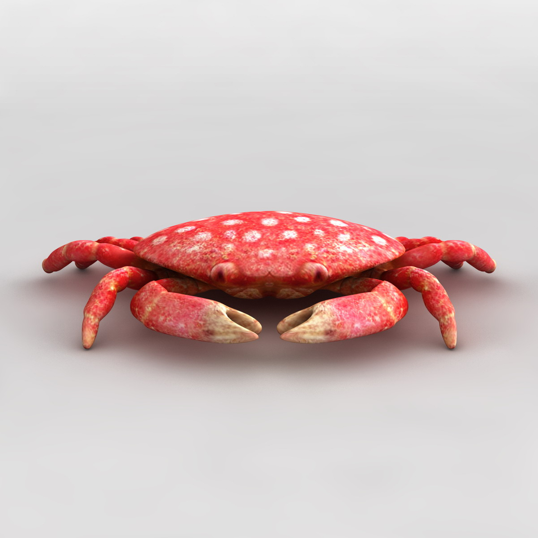 3dsmax strawberry crab https://p.turbosquid.com/ts-thumb/y8/QfKNZW/iIZA0QnO/strawberrycrab/jpg/1361542220/1920x1080/turn_fit_q99/5661e1c3c8c6bbc62859f9091a2cad837ec9fd48/strawberrycrab-1.jpg