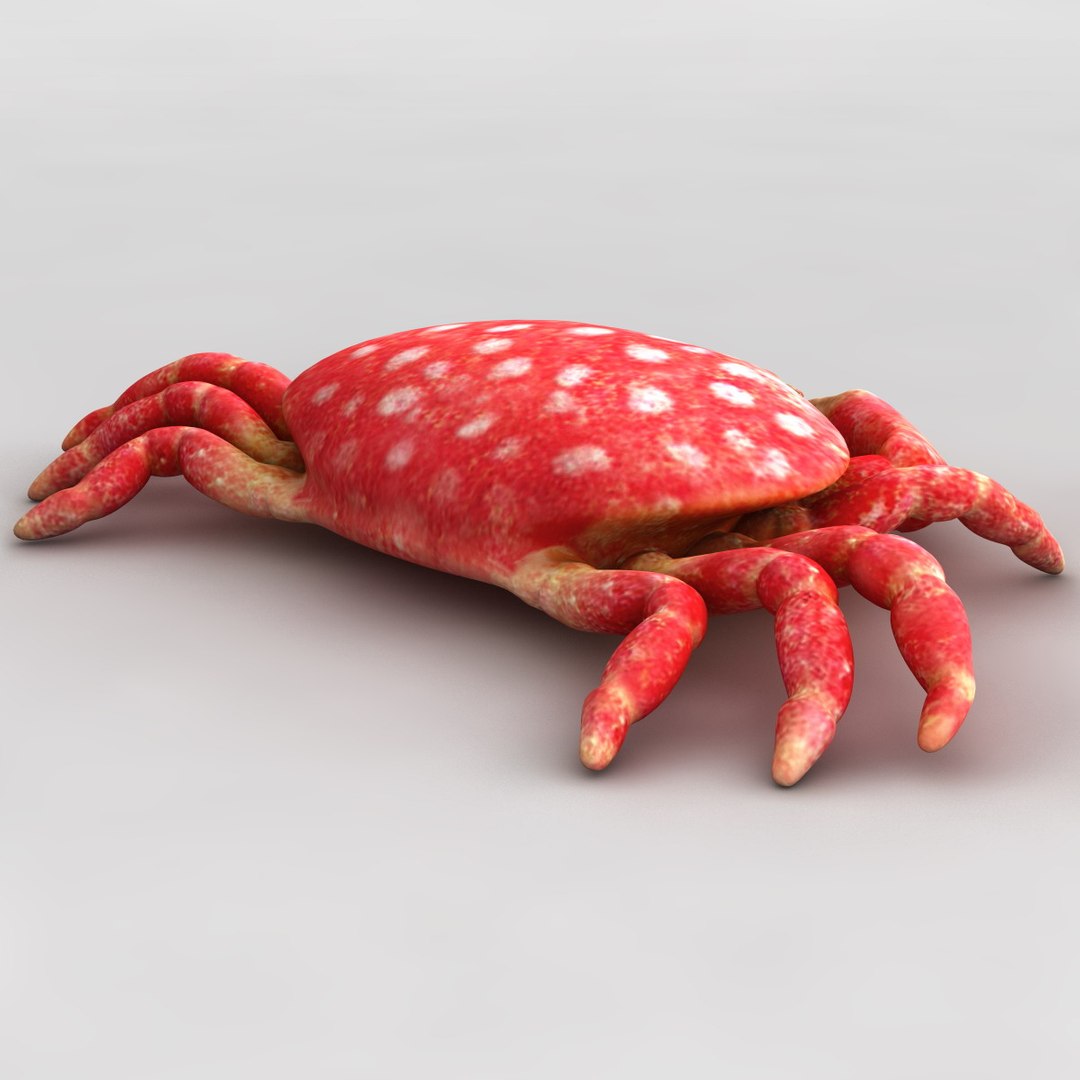 3dsmax strawberry crab https://p.turbosquid.com/ts-thumb/y8/QfKNZW/kL75Xbr0/117946_strawberry_crab_007/jpg/1361542185/1920x1080/fit_q87/aff87a6ba60d11f2432b44e1d4c9cbf47ed244e9/117946_strawberry_crab_007.jpg