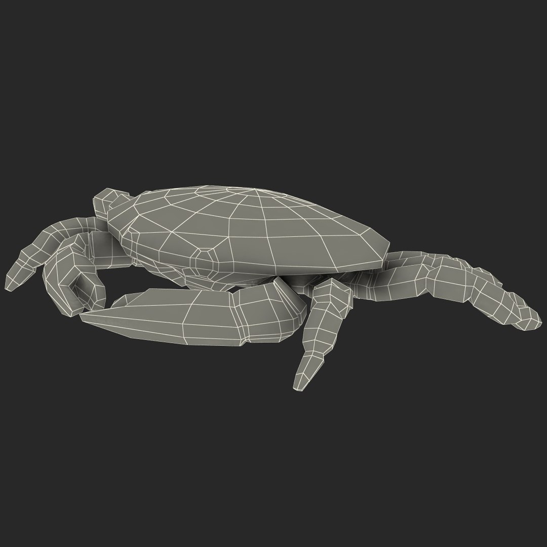 3dsmax strawberry crab https://p.turbosquid.com/ts-thumb/y8/QfKNZW/ooKpjC8B/117962_strawberry_crab_023/jpg/1361542215/1920x1080/fit_q87/c68b841b46cac275f32ba90348495b9aa2151c10/117962_strawberry_crab_023.jpg