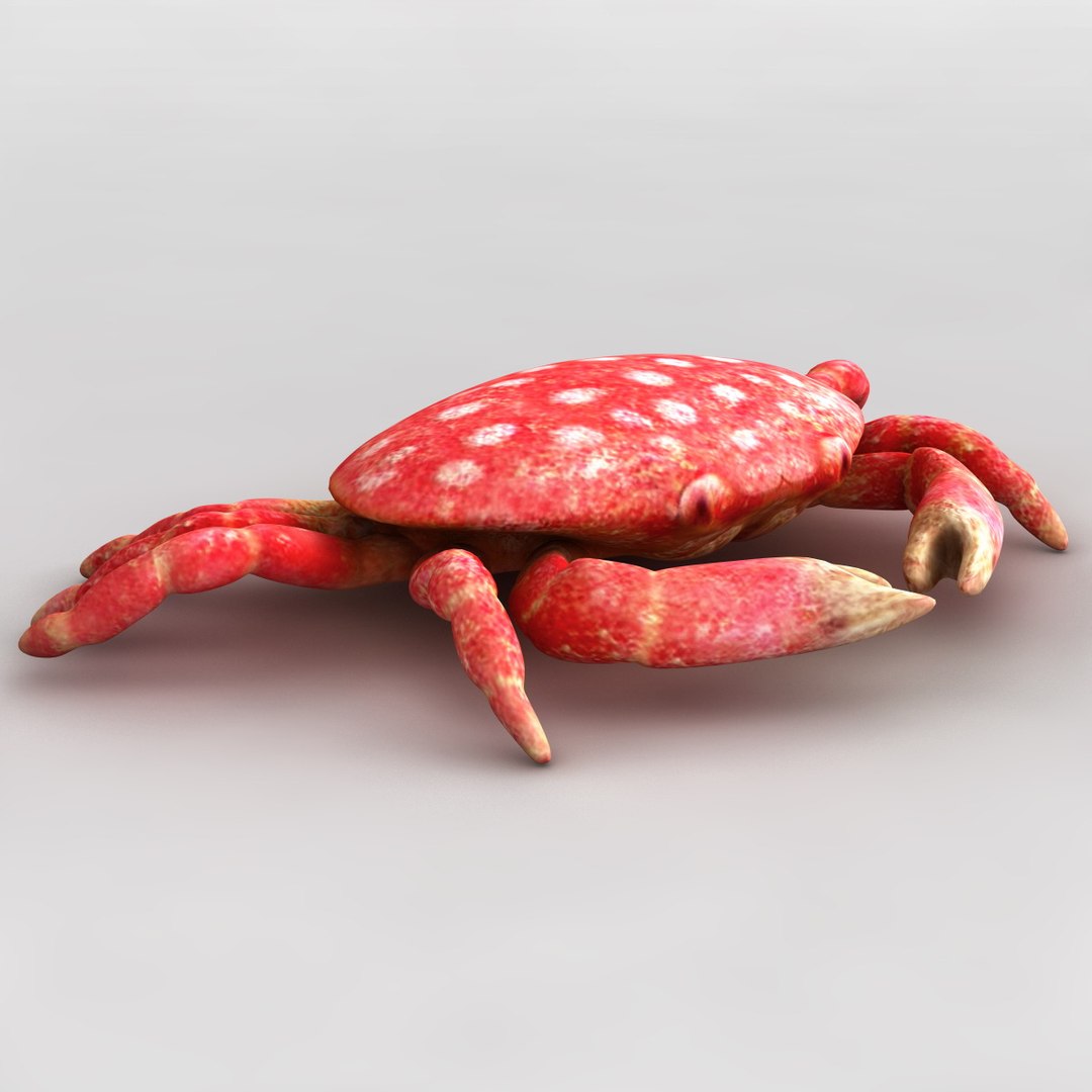 3dsmax strawberry crab https://p.turbosquid.com/ts-thumb/y8/QfKNZW/sG4di6eJ/117944_strawberry_crab_005/jpg/1361542175/1920x1080/fit_q87/45d70d191b9b37d579ce5cf6de4a1e654cf7453b/117944_strawberry_crab_005.jpg
