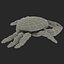 Strawberry Crab