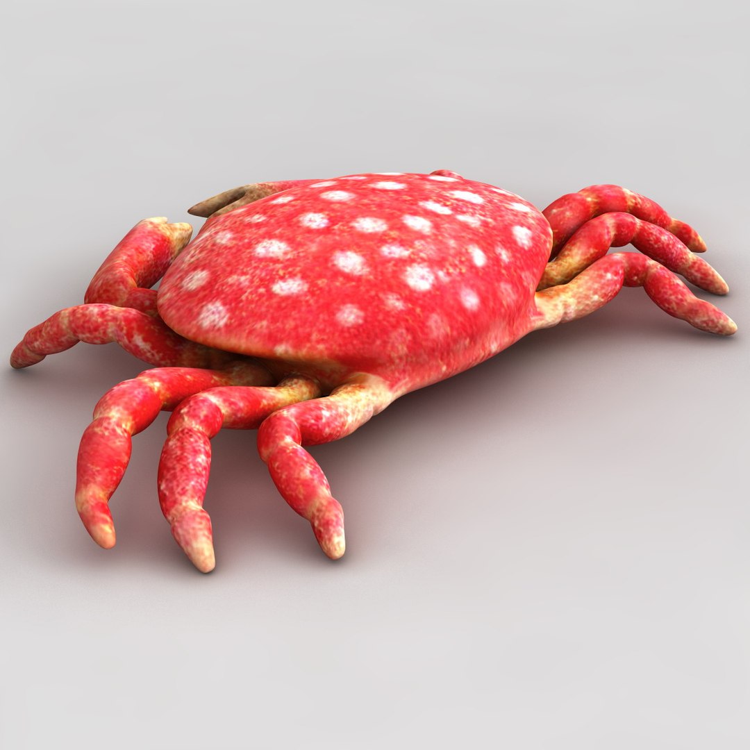 3dsmax strawberry crab https://p.turbosquid.com/ts-thumb/y8/QfKNZW/wX5itx6r/117948_strawberry_crab_009/jpg/1361542189/1920x1080/fit_q87/fb2a94d73538da9ff1dac02a4f5851cd588a43cc/117948_strawberry_crab_009.jpg