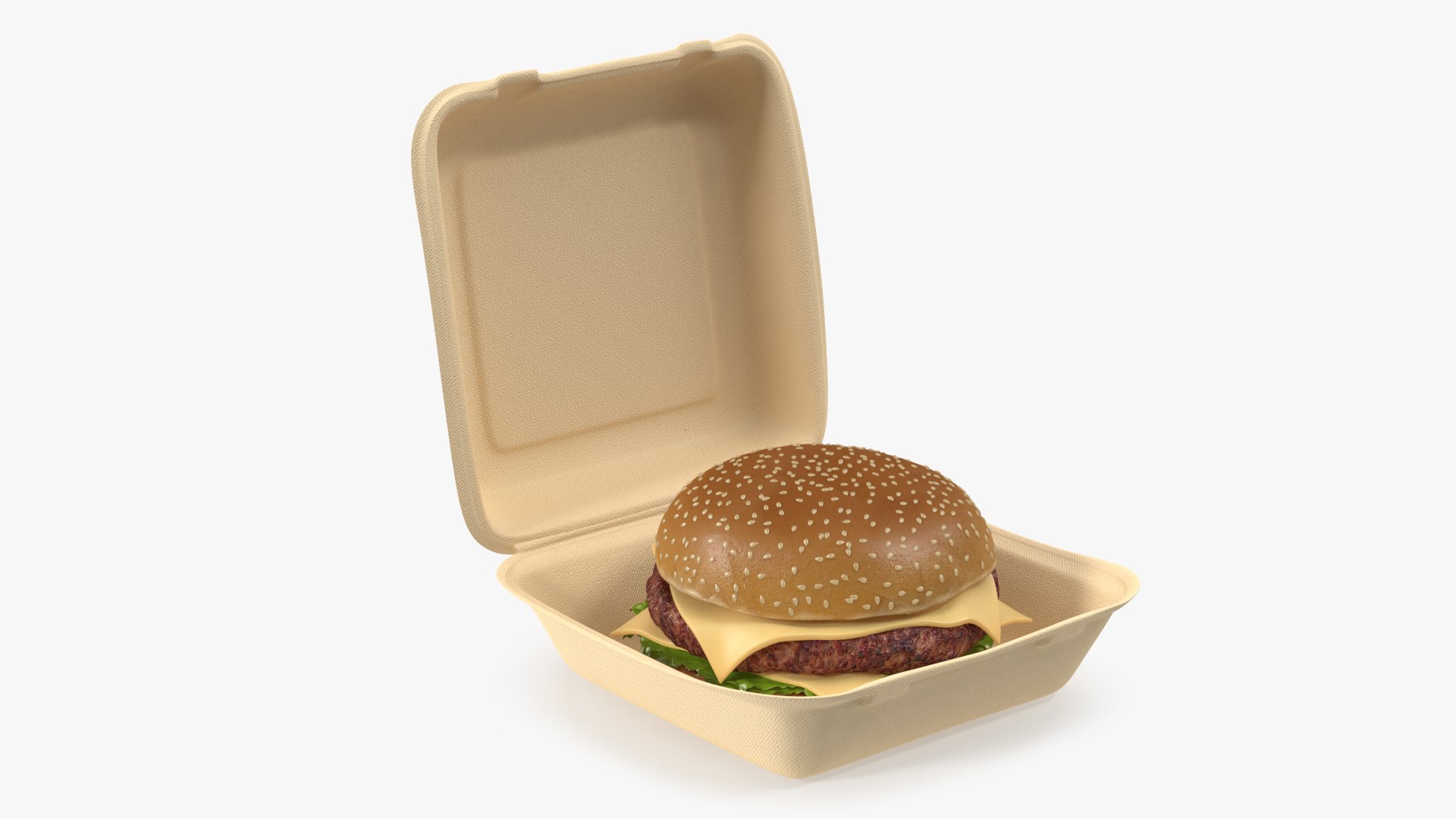 Bagasse Food Box with Cheeseburger 3D model preview