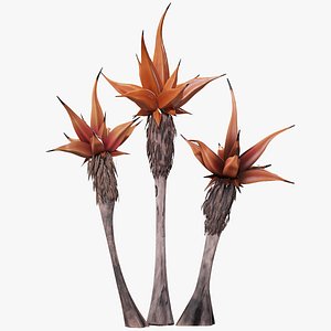 Alien Vegetation - Group Of 3 Palms
