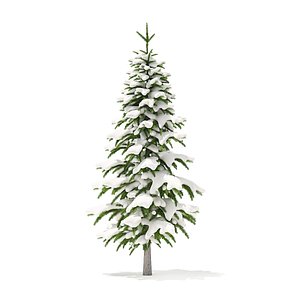 fir tree snow 2 3D model
