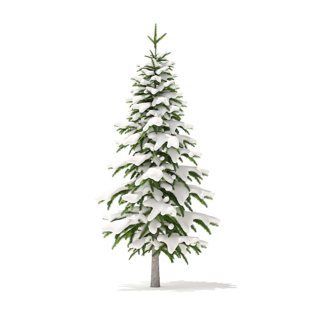 fir tree snow 2 3D model https://p.turbosquid.com/ts-thumb/y8/cTl2jZ/fWPXXjrx/cgaxis_models_98_2202/jpg/1522869363/1920x1080/fit_q87/7d19bb572e957751d0acf772b84b082b99e888cf/cgaxis_models_98_2202.jpg