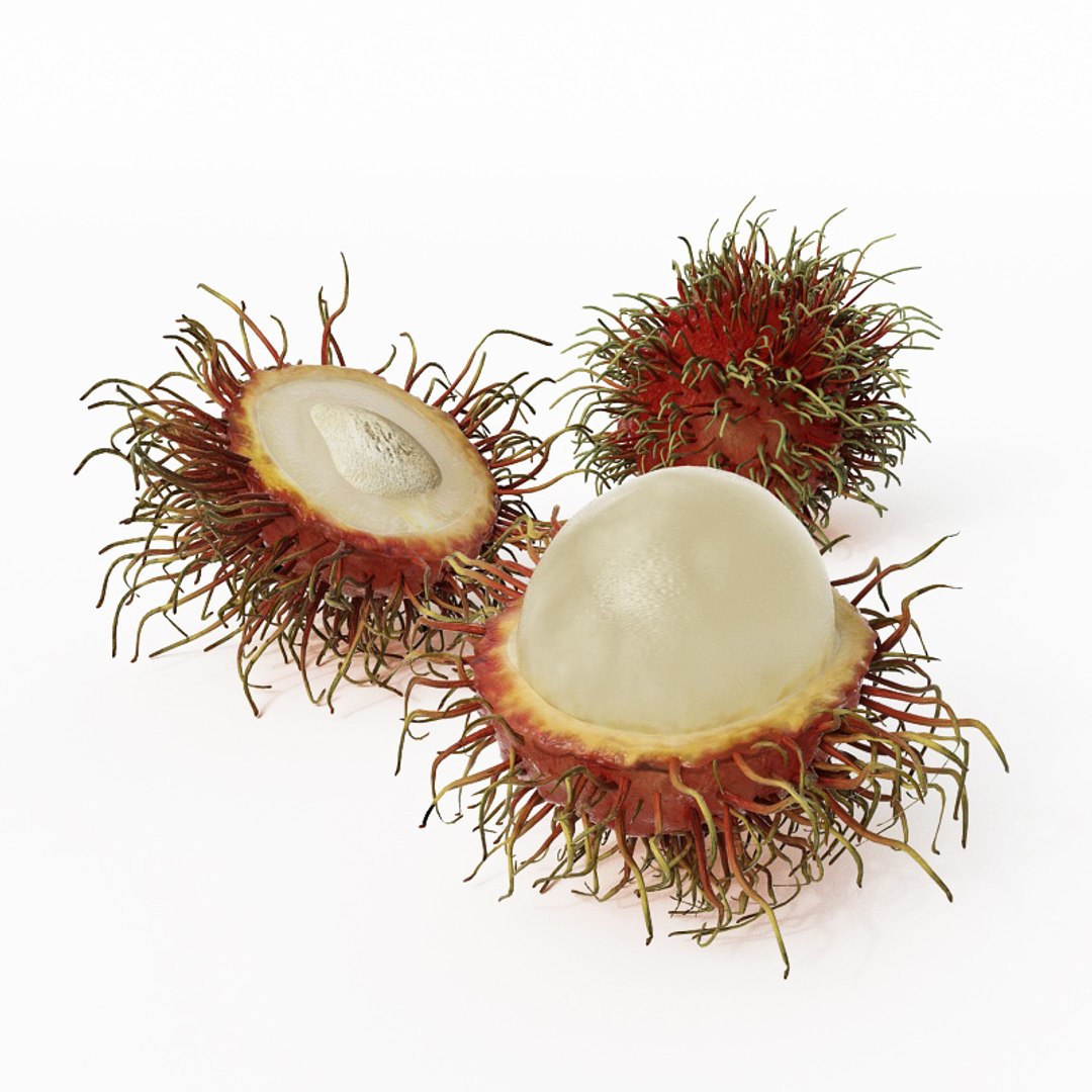 3D fruits vegetables https://p.turbosquid.com/ts-thumb/y8/jWHTLA/uhao3UWI/018/jpg/1606121347/1920x1080/fit_q87/8393e46b0c35f991eca5251fde27f6d1973e020b/018.jpg
