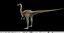 dinosaur ornithomimus 3d model