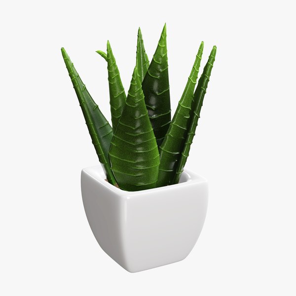 3D plant pot decor model