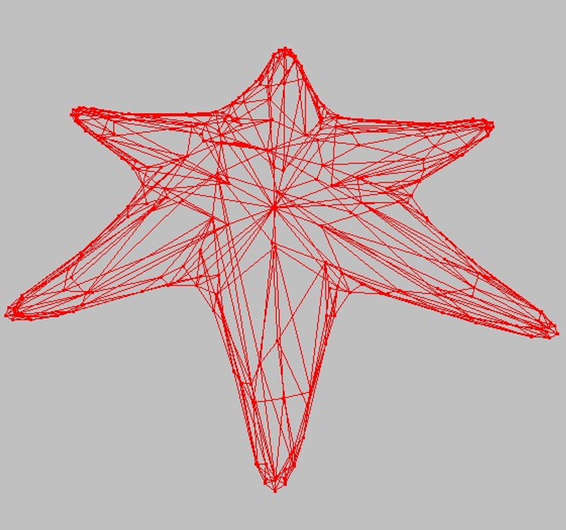 Maya Seastar Star Sea