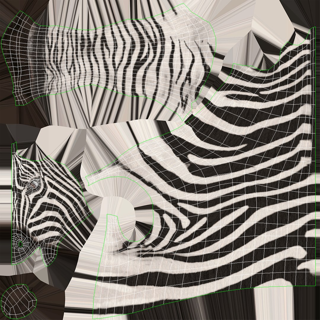 3D model Zebra https://p.turbosquid.com/ts-thumb/y8/wpQo5e/4I/zebra_uv/jpg/1683871142/1920x1080/fit_q87/cfff5aa1f0da4a229cf321df5219288ac9132261/zebra_uv.jpg