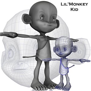 Little Monkey Kid