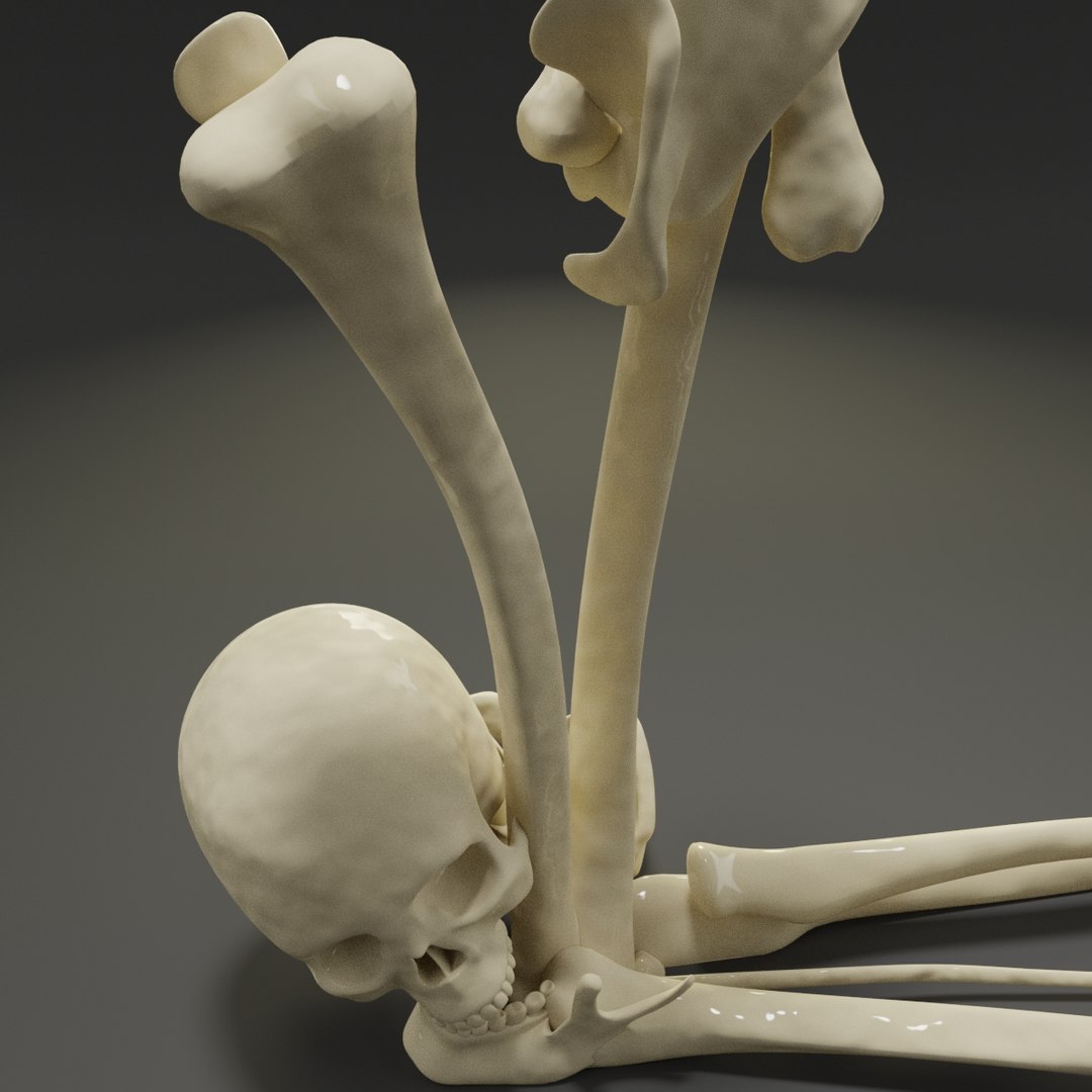 Letter L Bones Skeleton 3D Model - TurboSquid 1547481