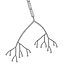 Neuron