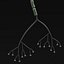 Neuron