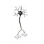 Neuron