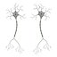 Neuron