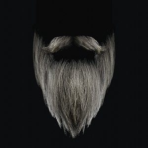Beard RealTime 2 Version 1