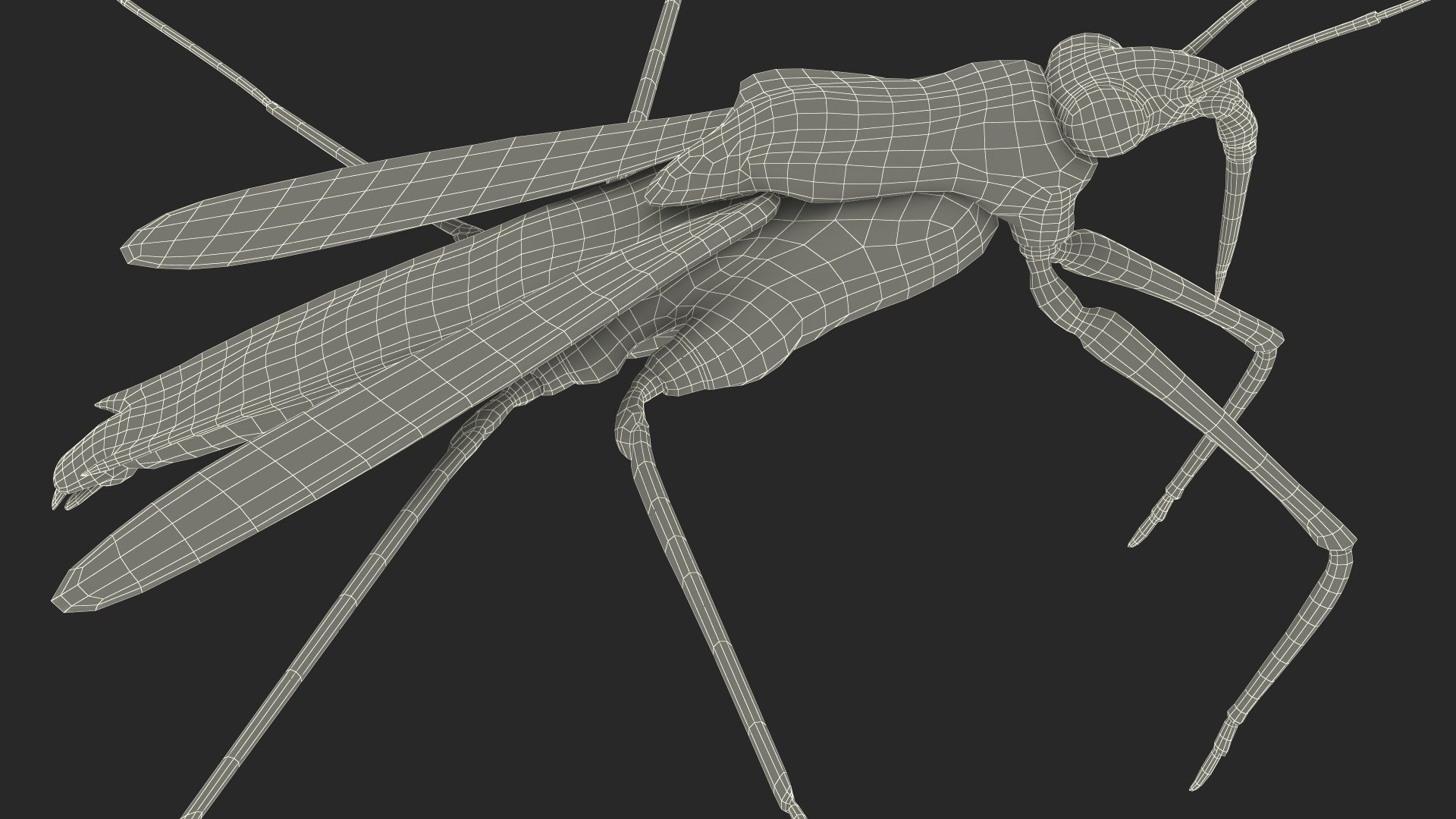 3D Water Strider Fur https://p.turbosquid.com/ts-thumb/y9/hFxtKu/6z/waterstriderfurvray3dmodel027/jpg/1695231592/1920x1080/fit_q87/b3d2734630e40f07d32e0d073a708151c0c1298e/waterstriderfurvray3dmodel027.jpg