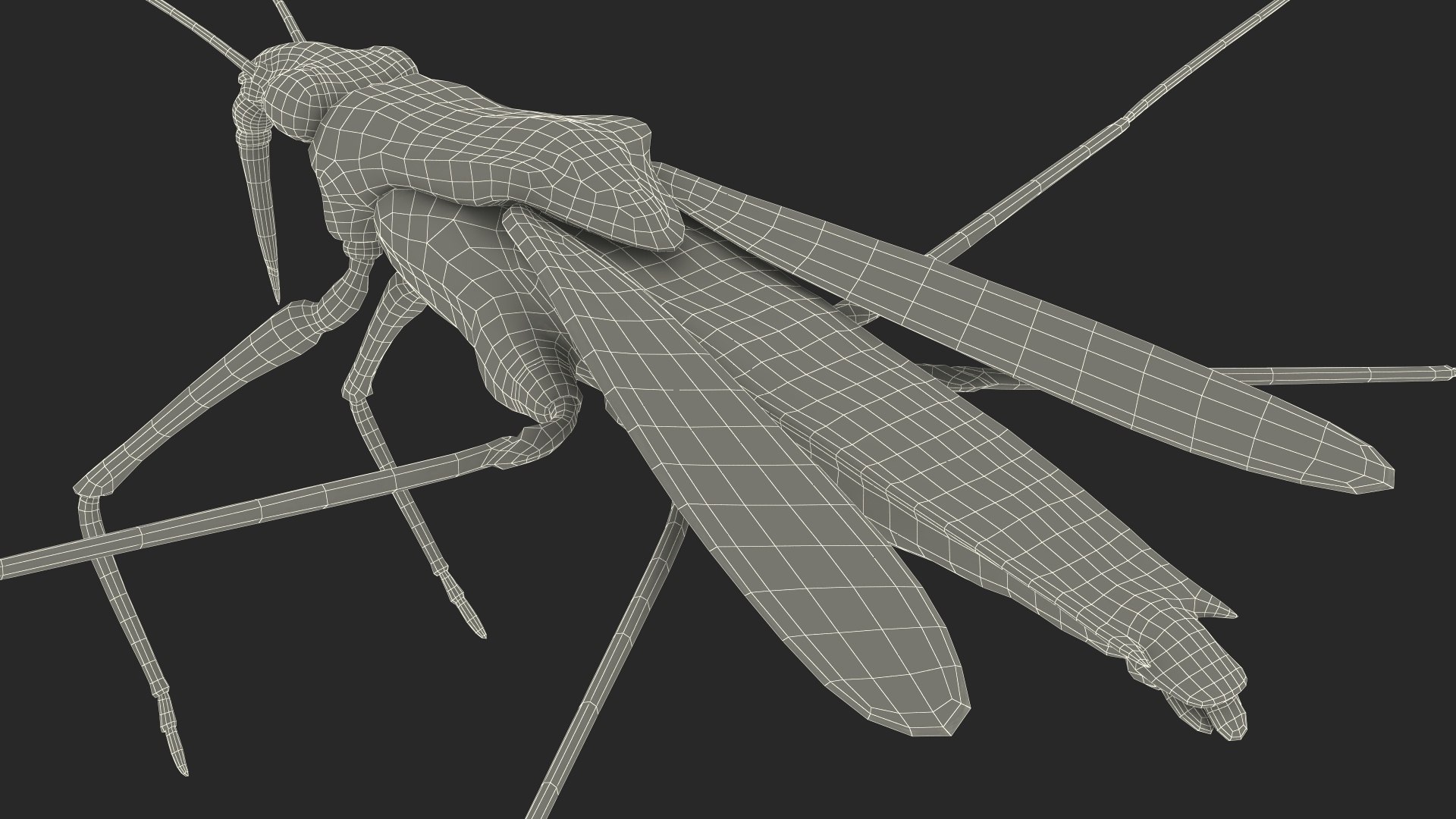 3D Water Strider Fur https://p.turbosquid.com/ts-thumb/y9/hFxtKu/Ra/waterstriderfurvray3dmodel026/jpg/1695231588/1920x1080/fit_q87/2b352615a4dbf222643b3f8fed1875327a2af03d/waterstriderfurvray3dmodel026.jpg
